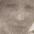 Hulda